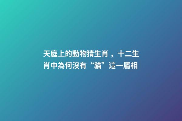 天庭上的動物猜生肖，十二生肖中為何沒有“貓”這一屬相
